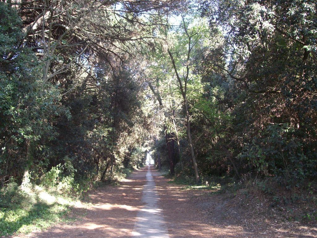 Agenzia Vear - Lido Di Volano Luaran gambar